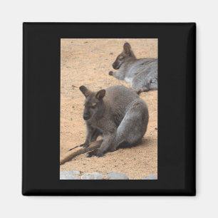 Wallabies Nature Lovers Fürteventura Vertical Sti Magnet