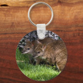Wallabies Schlüsselanhänger (Vorderseite)