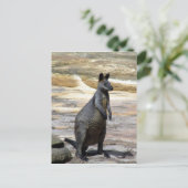 Wallabische Felsen Postkarte (Stehend Vorderseite)