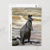 Wallabische Felsen Postkarte (Vorne/Hinten)