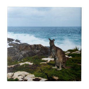 Wallaby am Meeresufer, Keramik Tile Fliese