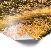 Wallaby an der Riverside Fotodruck (Ecke)