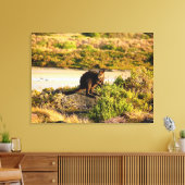 Wallaby an der Riverside Leinwanddruck (Insitu (Wohnzimmer))