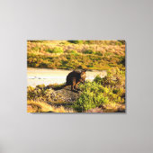 Wallaby an der Riverside Leinwanddruck (Vorderseite)