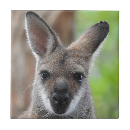 Wallaby-Fliese Fliese (Vorderseite)
