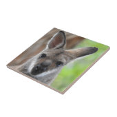 Wallaby-Fliese Fliese (Seite)
