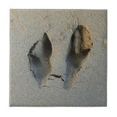 Wallaby Footprints in Sand Fliese (Vorderseite)