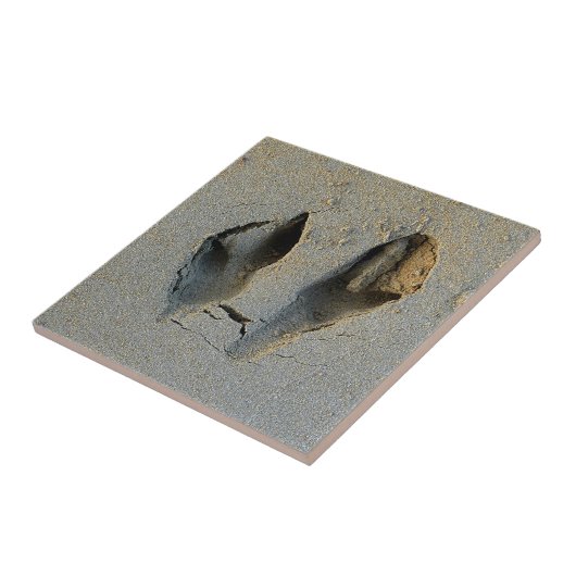 Wallaby Footprints in Sand Fliese (Seite)