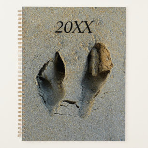 Wallaby Footprints in Sand Planer