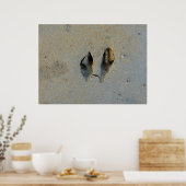 Wallaby Footprints in Sand Poster (Küche)
