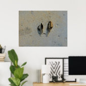 Wallaby Footprints in Sand Poster (Heimbüro)