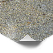 Wallaby Footprints in Sand Poster (Ecke)