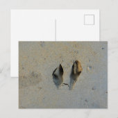 Wallaby Footprints in Sand Postkarte (Vorne/Hinten)