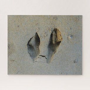 Wallaby Footprints in Sand Puzzle