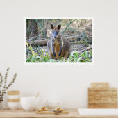 Wallaby im Wald Poster (Küche)