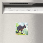 Wallaby Magnet (In Situ (Geschirrspüler))