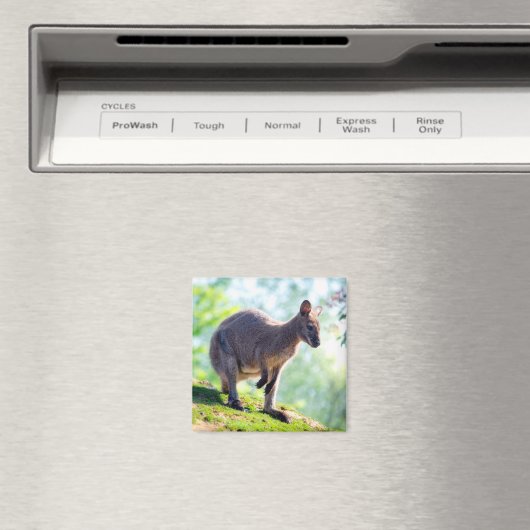 Wallaby Magnet (In Situ (Geschirrspüler))