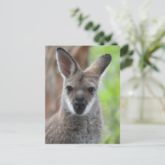 Wallaby Postcard Postkarte (Stehend Vorderseite)