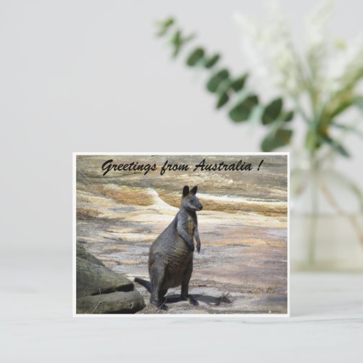 Wallaby Postkarte (Stehend Vorderseite)