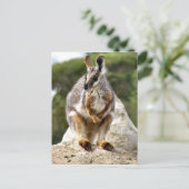 Wallaby Postkarte (Stehend Vorderseite)