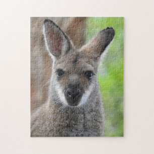 Wallaby-Puzzlespiel Puzzle