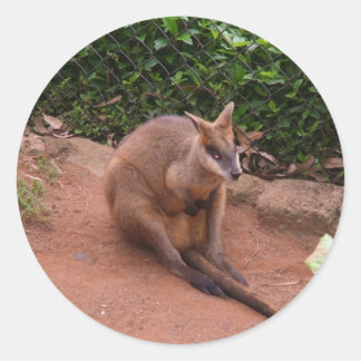Wallaby Runder Aufkleber