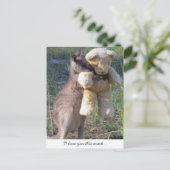 Wallaby umarmt Teddybear Postcard Liebe Postkarte (Stehend Vorderseite)