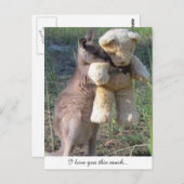 Wallaby umarmt Teddybear Postcard Liebe Postkarte (Vorne/Hinten)
