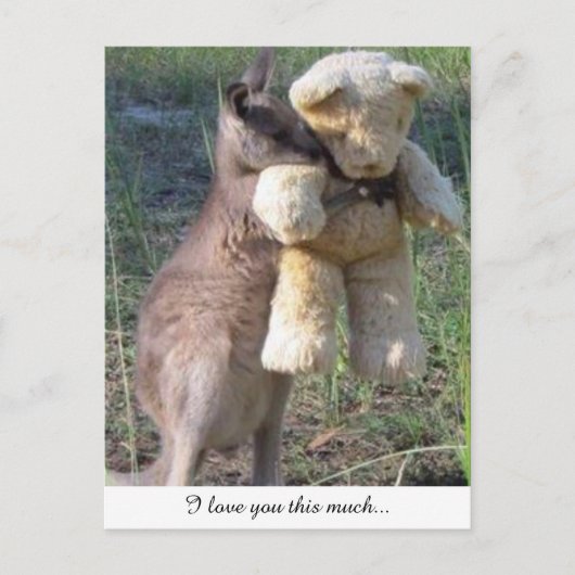 Wallaby umarmt Teddybear Postcard Liebe Postkarte (Vorderseite)