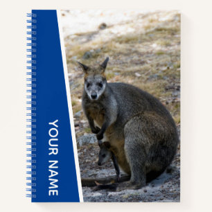 Wallaby und Niedlich Baby Joey, Australien, Blue, Notizblock