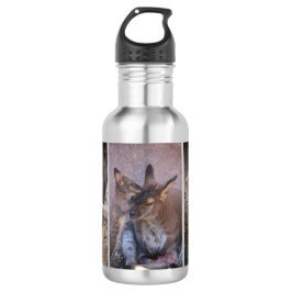 Wallaby Water Bottle Edelstahlflasche