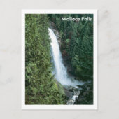 Wallace Falls Postkarte (Vorderseite)