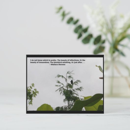 Wallace Stevens Zitat Postkarte (Stehend Vorderseite)