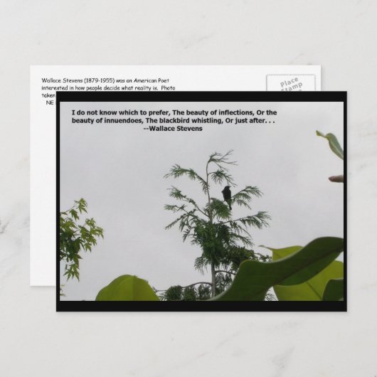 Wallace Stevens Zitat Postkarte (Vorne/Hinten)