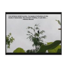 Wallace Stevens Zitat