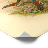 Wallace's Todopsis Wren Brown Bird Vintag Print Poster (Ecke)