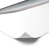 Wallago Poster (Ecke)