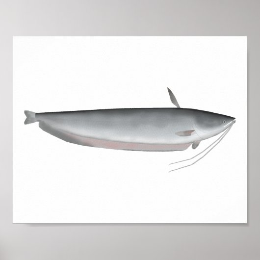 Wallago Poster (Vorne)