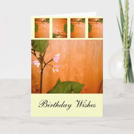 Wallblume Karte (Vorderseite)