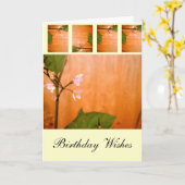 Wallblume Karte (Gelbe Blume)