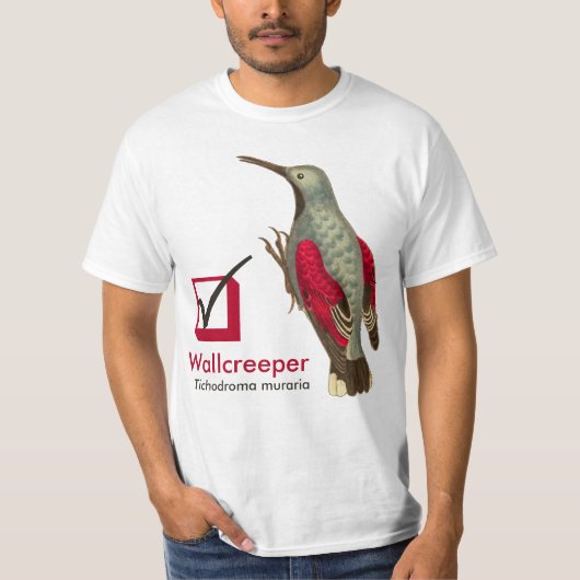 Wallcreeper Tichodroma muraria auf meinem T-Shirt (Vorderseite)