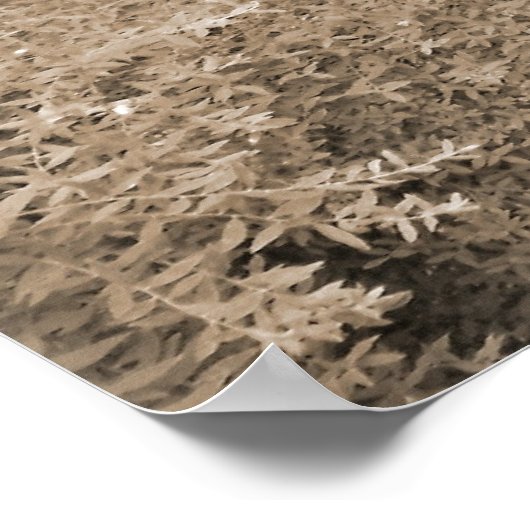 Walled Garden Gate Poster (Ecke)