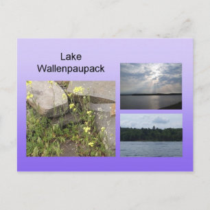Wallenpauschal Postkarte