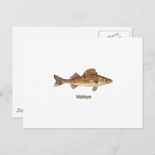 Walleye Art Postkarte (Vorne/Hinten)