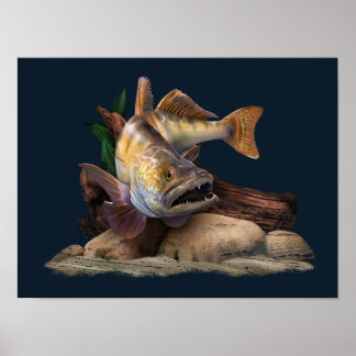 Walleye Fishing Illustration, Walleye Fisherman Poster