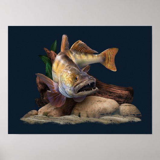 Walleye Fishing Illustration, Walleye Fisherman Poster (Vorne)