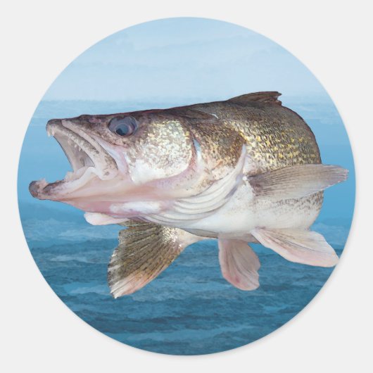 Walleye Fishing Runder Aufkleber (Vorderseite)