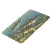 Walleye Painting Magnet (Linke Seite)