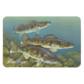 Walleye Painting Magnet (Horizontal)