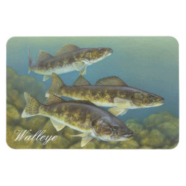 Walleye Painting Magnet